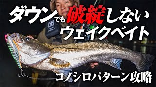 【シーバス】東京湾、秋のコノシロパターンを攻略 ｜激流を “いなす″ タイトウォブンロールアクション RAICO -ライコ-｜#シーバス #RAICO #ライコ #東京湾