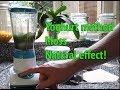 Dry Start Method Aquarium - How to grow aquarium moss