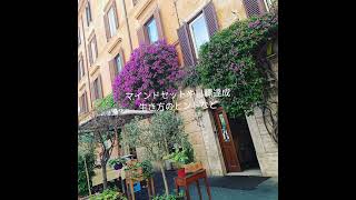 ＃3　先ずは受け入れる。「自分の人生は、自分のマインドが投影されている。」という事。学んだ事、気付きをローマからちょっとずつシェアして行きますね。どうぞ宜しくお願いします。