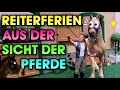 Riding Holidays From The Horses Perspective 2 Schleich