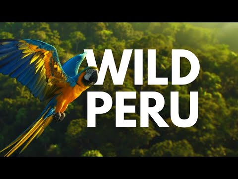 PERU - GUARDIANS OF THE ANDES AND THE FOREST | Full Documentary