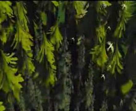 Ausschnitt "Die Rotkäppchenverschwörung" (Seilbahnjob)