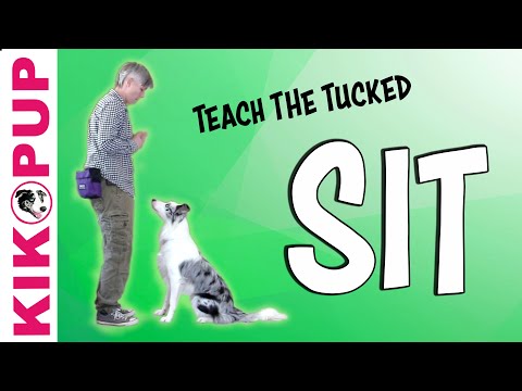 What is Clicker Training
