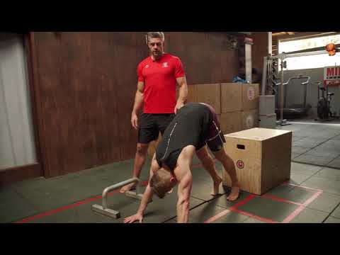 Pike Push Ups [CORRECT] + Principles for Foundation Strength // School of Calisthenics