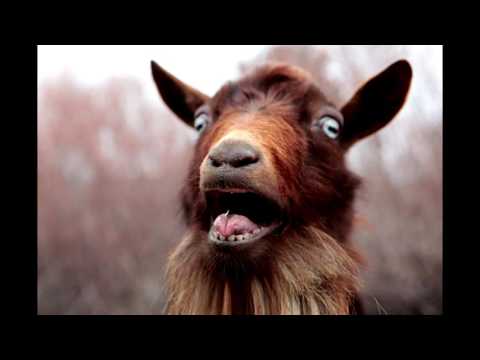 Tie out eh goat -Touch ft Don terro wayne & Lyrical Snipakidd