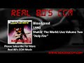 Bloodgood - Holy Fire
