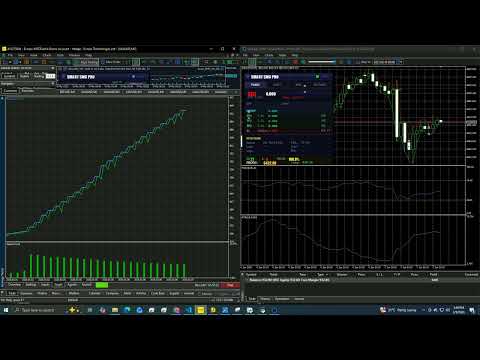 Video Smart SMC Pro Gold EA