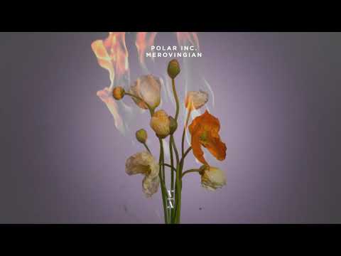 Polar Inc. - Merovingian