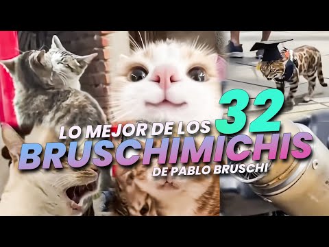 THE BEST OF THE BRUSCHIMICHIS 32 - PABLO BRUSCHI