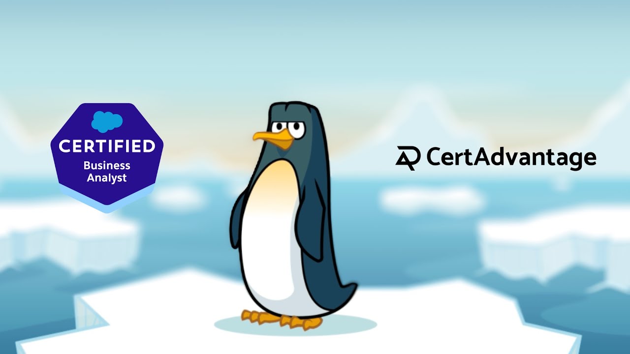 Salesforce Business Analyst Practice Test Walkthrough - Part 1