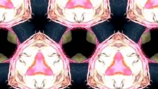 "Trailer Park Pulp Fiction (feat. Ira Dean)" Fan Video