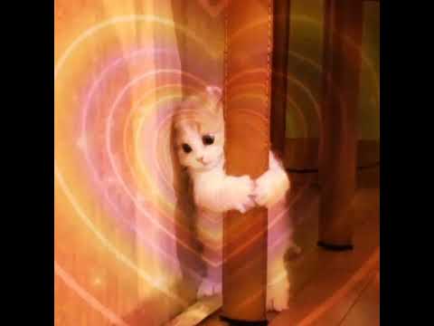 Goodnight N' Go x Double Take - Ariana Grande & Dhruv Mashup (Sped Up+Pitched)