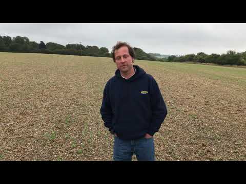 Oilseed Rape establishment 2019. Part 1 : “The Good”