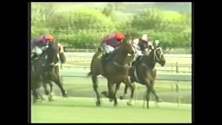 preview picture of video '2006 NZ Captain Cook Stakes _ Jurys Out'