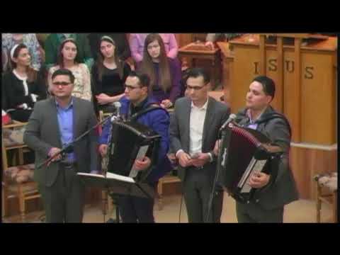 fratii Strugariu 2018