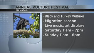 Annual Vulture Festival this weekend in Makanda
