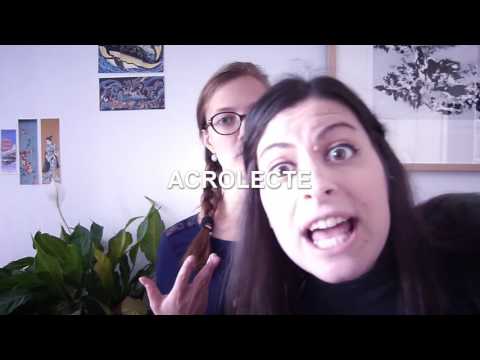 La Linguisterie #2 - Le créole est-il une langue ?