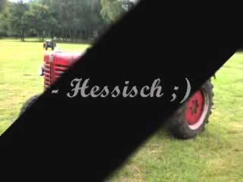 Der Willie und sein Bulldog