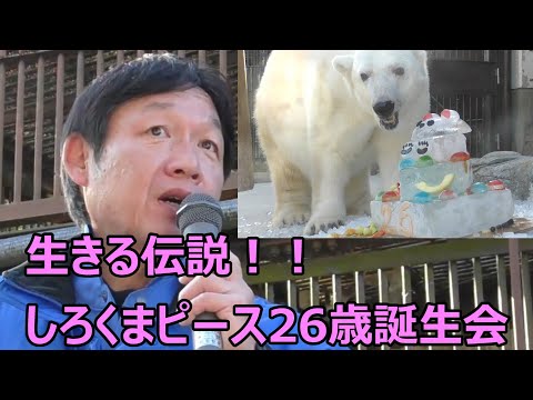 しろくま様確認ページ しろくま」のYahoo!リアルタイム検索 - X（旧Twitter）をリアルタイム検索