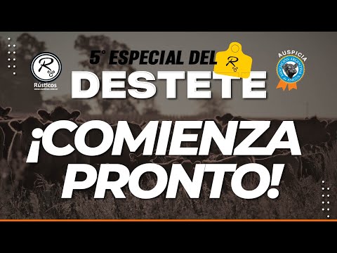 🔴EN VIVO | Remate RÚSTICOS 5° Especial Destete, desde Tandil, Bs As | Alfredo S. Mondino, 23-03-23🔴