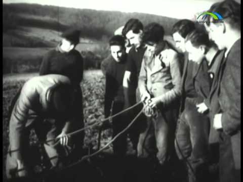 Die Geschichte des Holocaust Teil 1 (Vorschau)