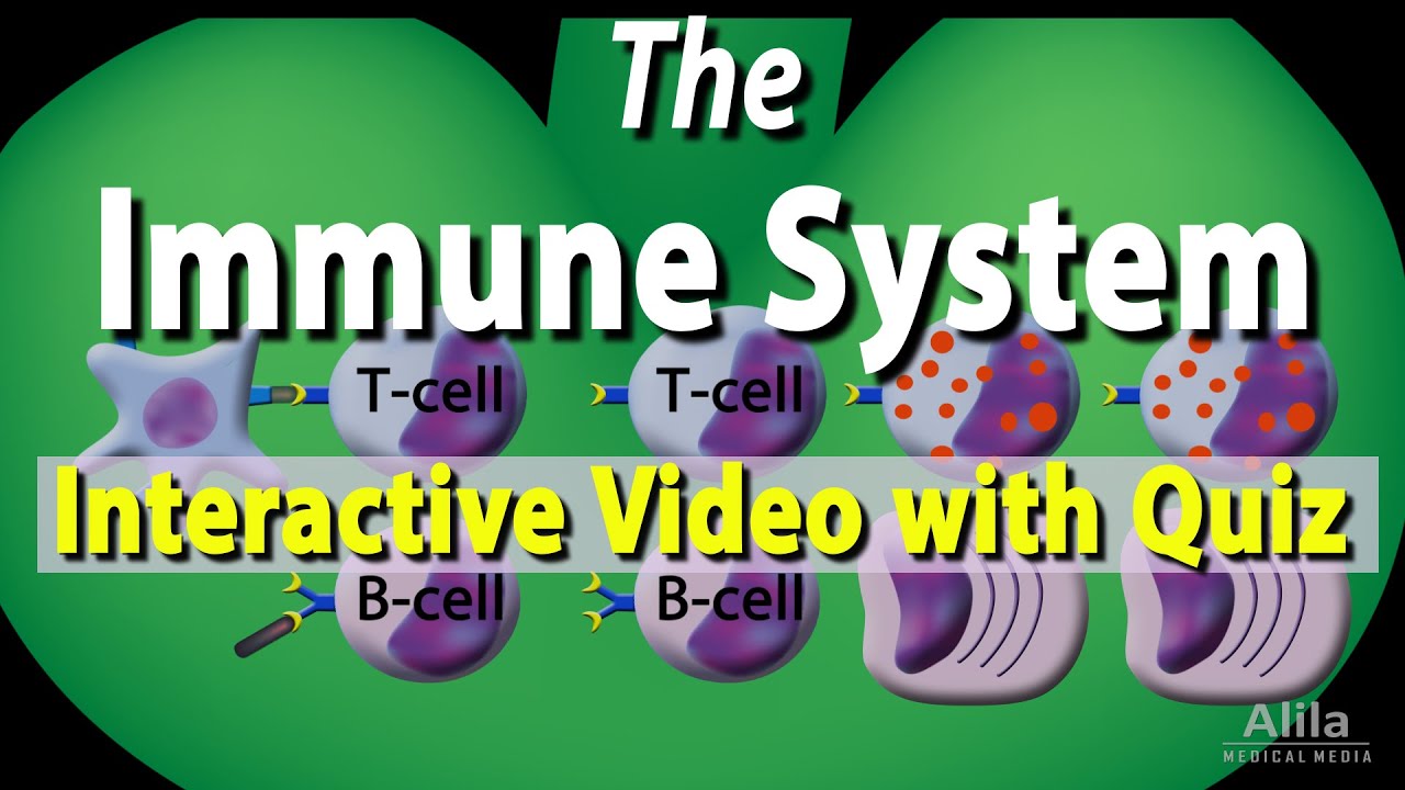 The Immune System: Interactive Video with Quiz