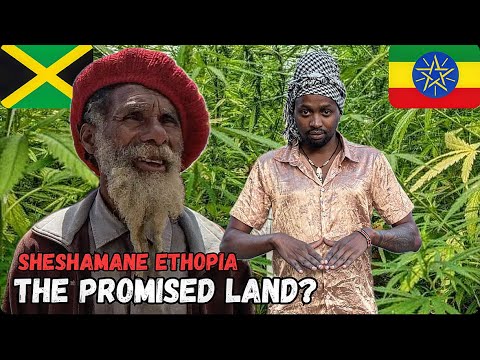 24 Hours with Repatriated Rastas in Shashamane, Ethiopia 🇯🇲🇪🇹