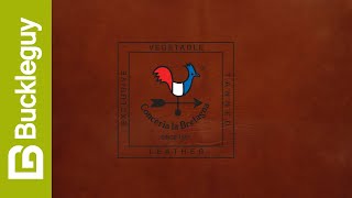 Conceria La Bretagna, Gaucho Oil | Medium Brown | Veg Tan Leather Demo