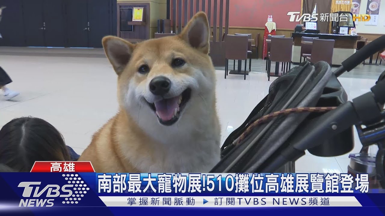 南部最大寵物展開幕 寵物可喝的特調「拿鐵」