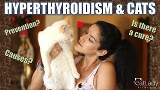 Does your cat have HYPERTHYROIDISM (you
