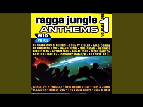 Under Mi Sensi (Jungle Spliff) X Project Remix