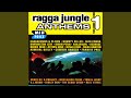 Under Mi Sensi Jungle Spliff X Project Remix