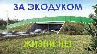 За экодуком жизни нет! Калужская область, трасса М-3 "Украина"