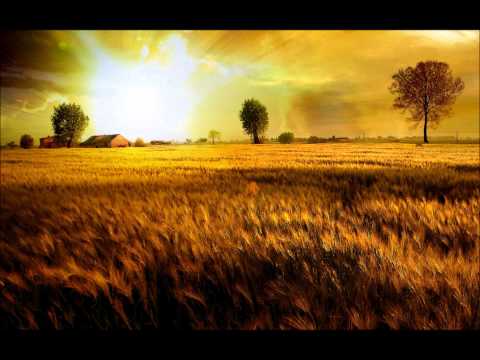 Fields Of Gold (Stephen Murphy)