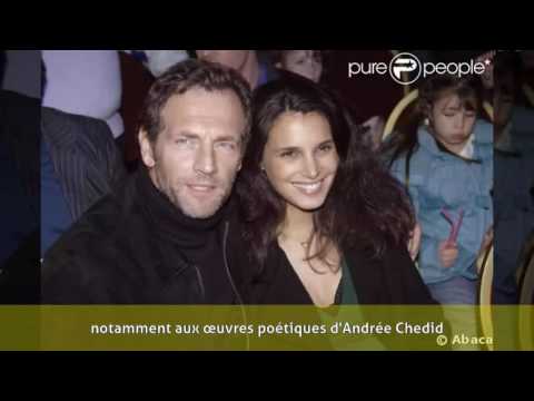 Stéphane Freiss - Biographie