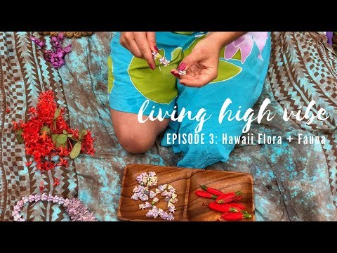 A short film on making flower lei in Hawaii