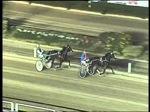 Trotto 07/02/2016 - prova di riqualifica