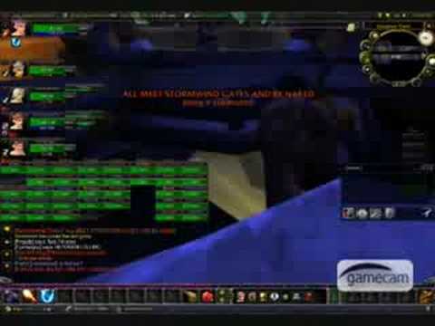 40 Gnome raid on hogger :P