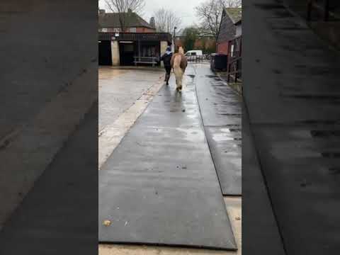 cm chat media video 1:eeb6d695 cbf3 5ee3 b2cb b2d86c12138f:321:0:0 2