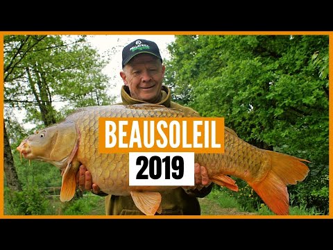 In pursuit of the stunning carp and powerful catfish of Beausoleil