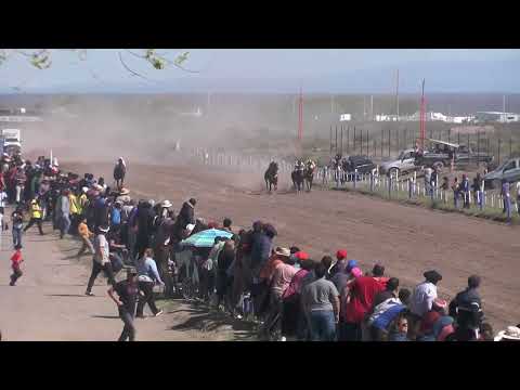 GARRINCHA  Club Hípico Cipriano Catriel - Catriel - Río Negro - 24-09-23