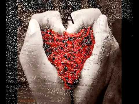 Daniel de Itapetininga - Fruto da Oliveira