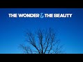 The Wonder And The Beauty
