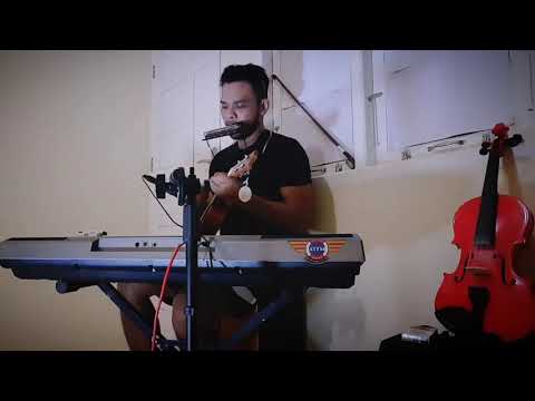 Senorita - Shawn Mendes n Camila Cabello Keyboard - ukulele - Harmonica Cover .