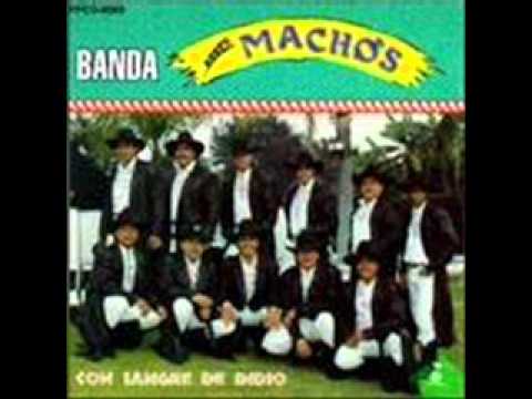Banda Machos - Leña De Pirul