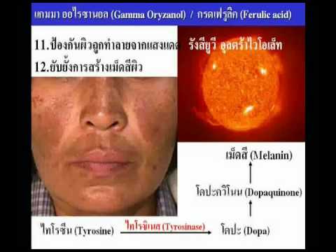 ภาวะซึมเศร้าความอ่อนแอ สมาชิกเล็กที่สุดในโลก