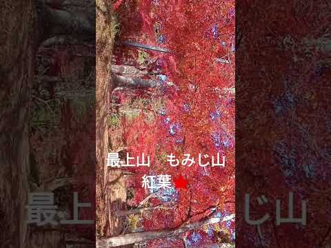 紅葉を活性炭に