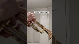 Download lagu 愛の挨拶（Edward Elgar） mp3