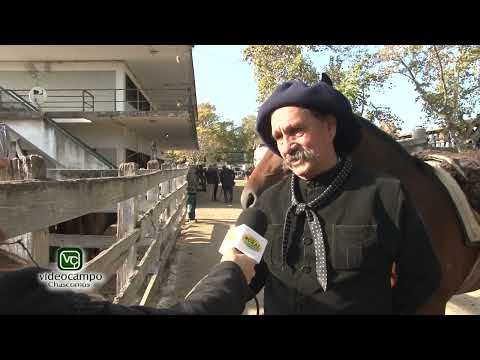 Mercado de Liniers La Despedida