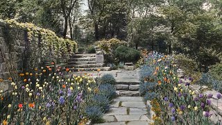 Download the video "Women Photographers in Garden History"
